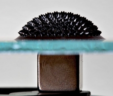 Ferrofluid 0,35 Fluid Ounces
